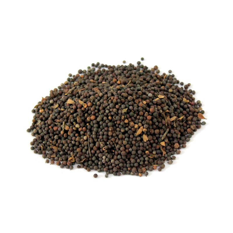 False Daisy (Bhangra)