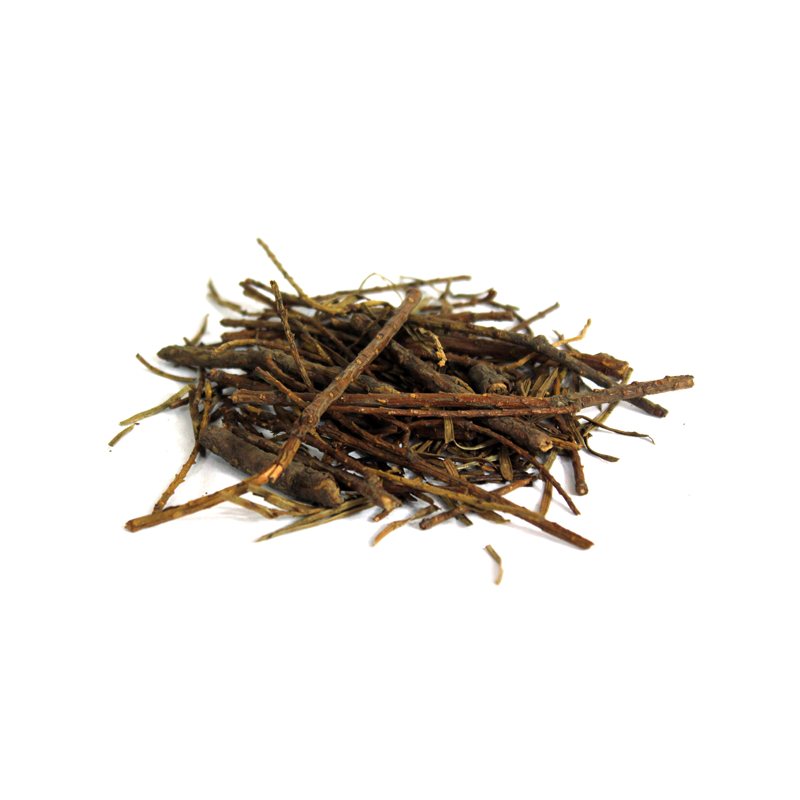 (زرناب) Many Spiked Flacorita