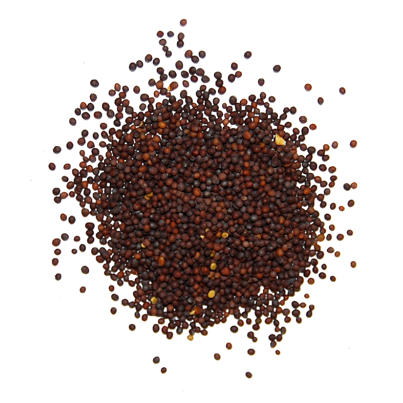 Brown Mustard (Sarson Zard)