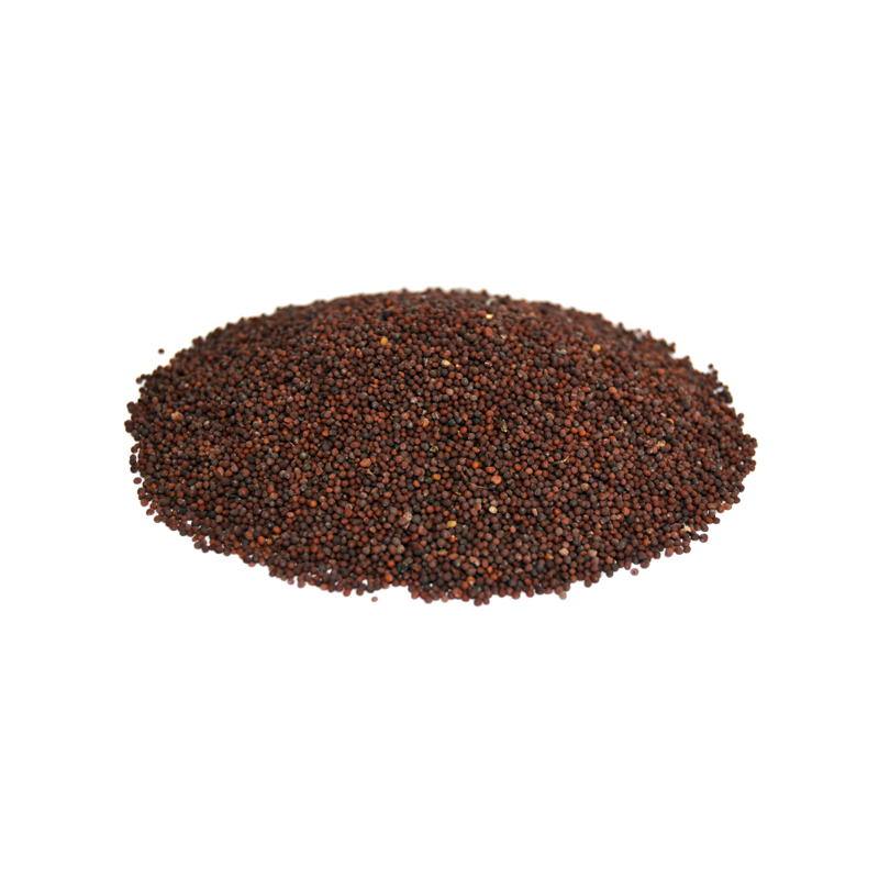 Black Mustard Seeds (Rai / Kali Sarson) – Premium Whole Spice for Cooking & Seasoning