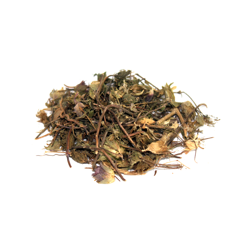(گل زوفا / زوفا) Hyssop – Premium Dried Herb