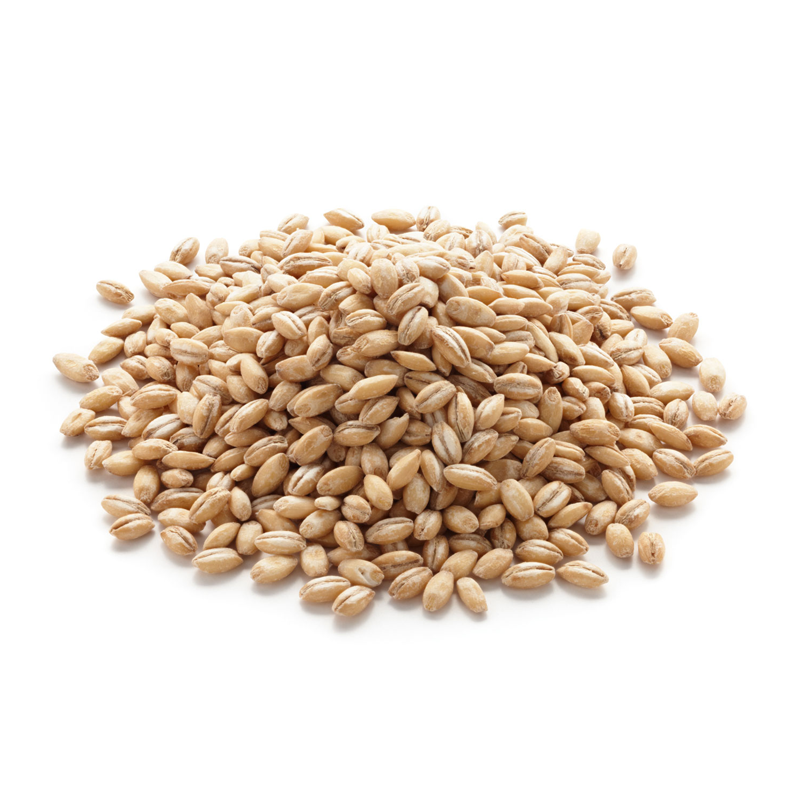 Barley (جو) – Premium Whole Grain