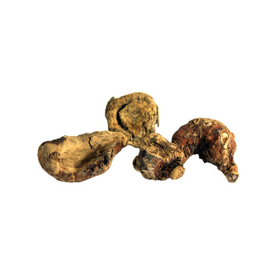 (خلنجان )  Java Galanga – Premium Dried Rhizome