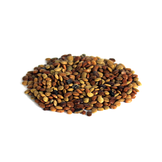 (ثابت تخم سنبھالو)  Vitex negundo/ Chinese Chaste Tree Seeds– Whole Seeds