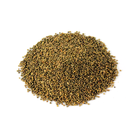 (تُخْمِ کانُچہ)  Madras Leaf Flower Seeds – Premium Whole Seeds