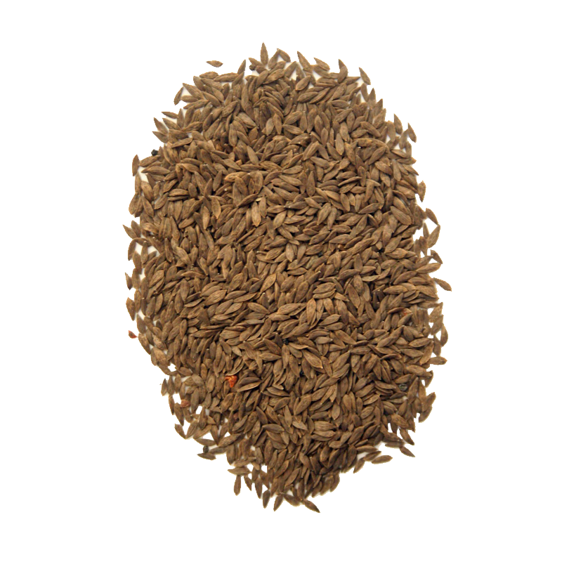 ( تخم کہو ) Lettuce Seeds