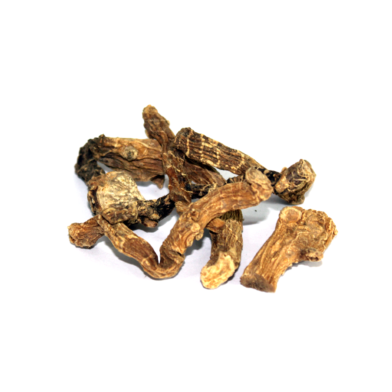 (مشک بالا / تخم بال ) Indian Valerian – Premium Rhizome & Root Pieces