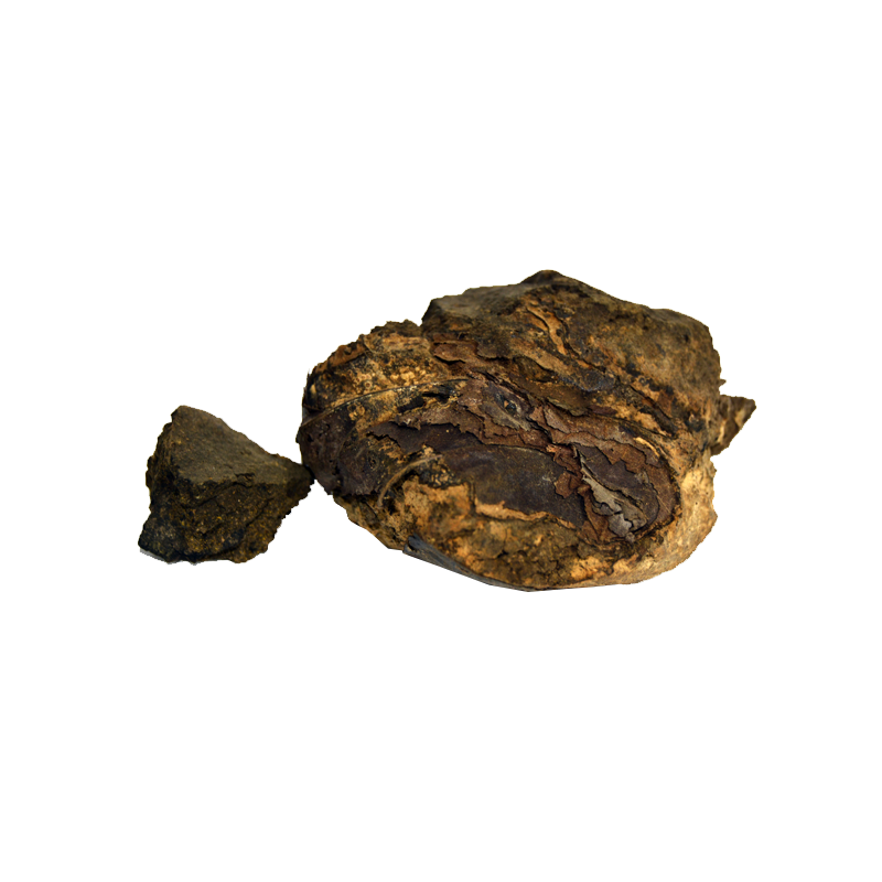 (رسوت انڈیا) Indian Tree Turmeric (Rasoot India) – Premium Whole Botanical Herb for Natural Ingredient Use