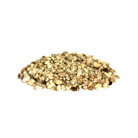 (مغز پانپا دانہ )  Indian Cotton Seeds– Premium Whole Seeds