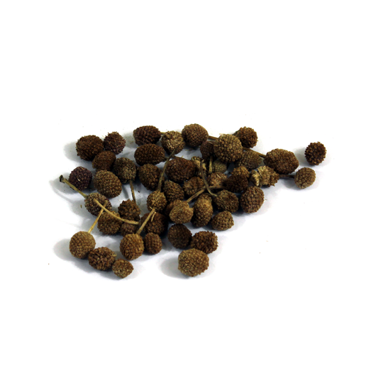 East Indian Globe Thistle (Gul Mandi) – Whole Botanical/Heritage Seed-Pods for Craft & Ingredient Use