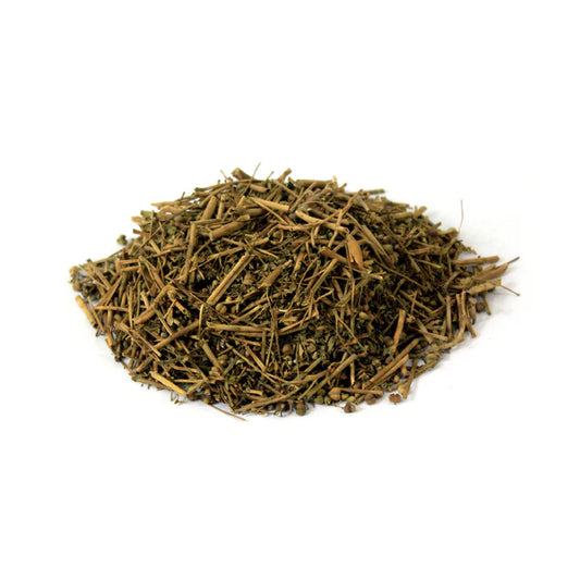 Premium Globe Thistle (Baram Dandi / بارام ڈنڈی) – Whole Dried Botanical Flowers